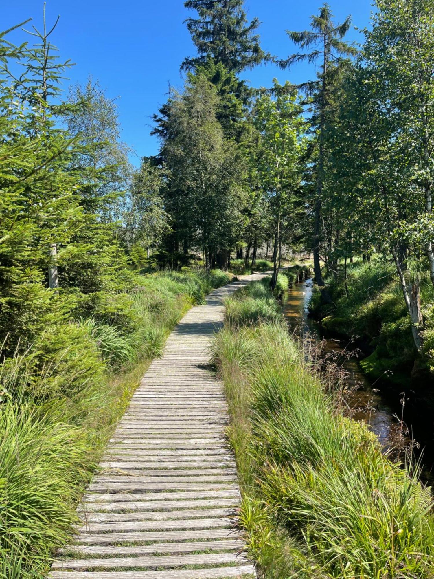 شقة Harz Escape تورفاوس المظهر الخارجي الصورة